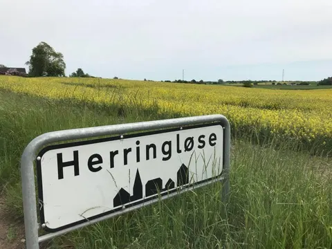 Byskiltet ved Herringløse med rapsmark i baggrunden